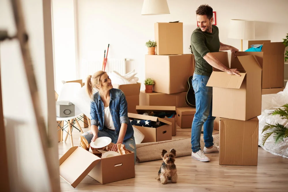 Conheça as melhores raças de cães para quem mora em apartamento 6 Conheça as melhores raças de cães para quem mora em apartamento
