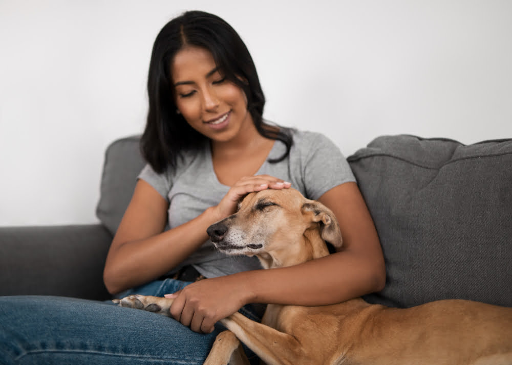 cachorro acariciando mulher com tiro medio