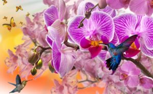 orquideas