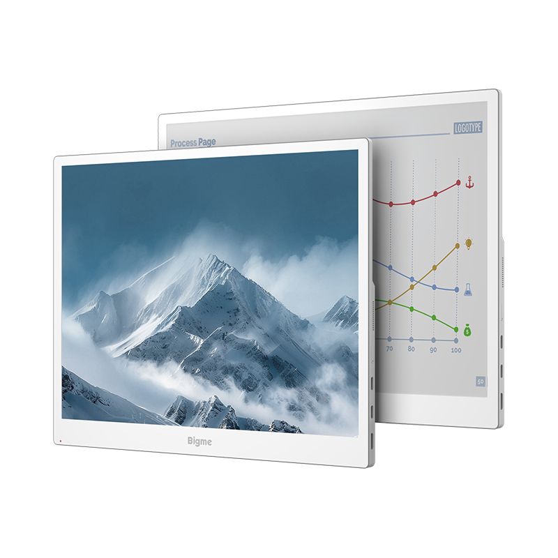 Bigme B13 Pro